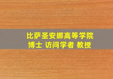 比萨圣安娜高等学院博士 访问学者 教授